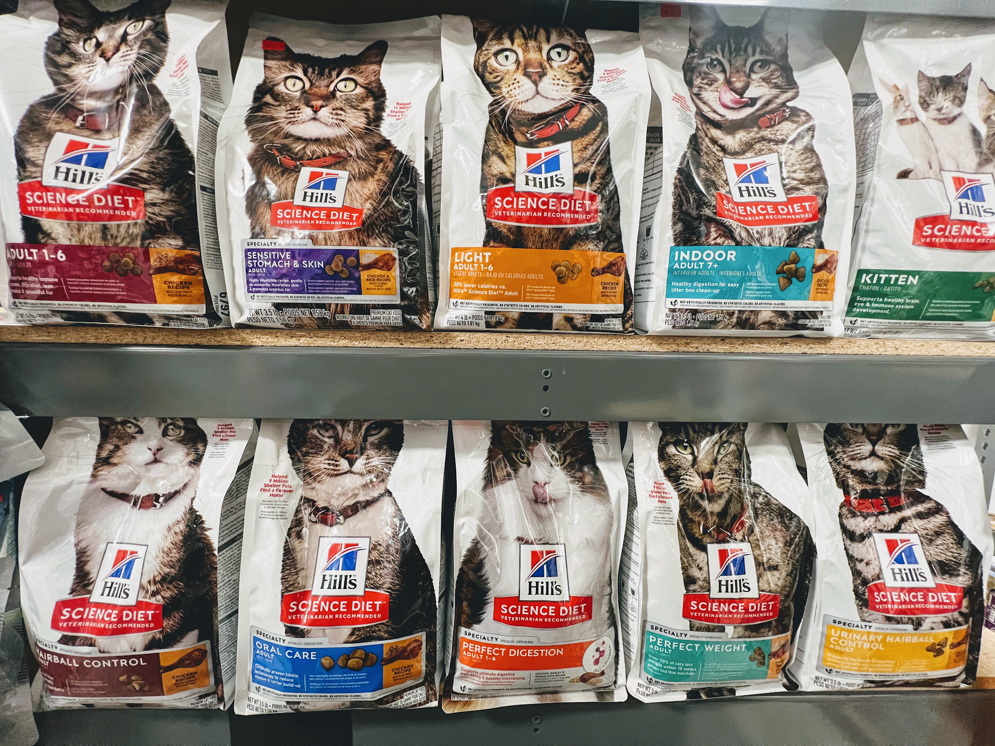 Cat food shelves at Brooklyn Pets